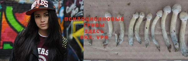 винт Белоозёрский