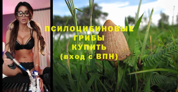 не бодяженный Беломорск