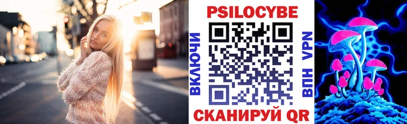 мориарти состав Кувшиново Псилоцибиновые грибы Psilocybine cubensis